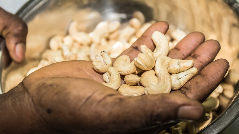 Hände - Cashew-Produktion Burkina Faso