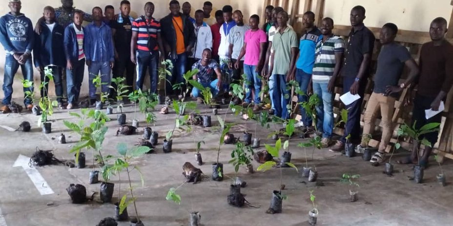 
                                      Togo: Schulung von Produzent:innen
                                  