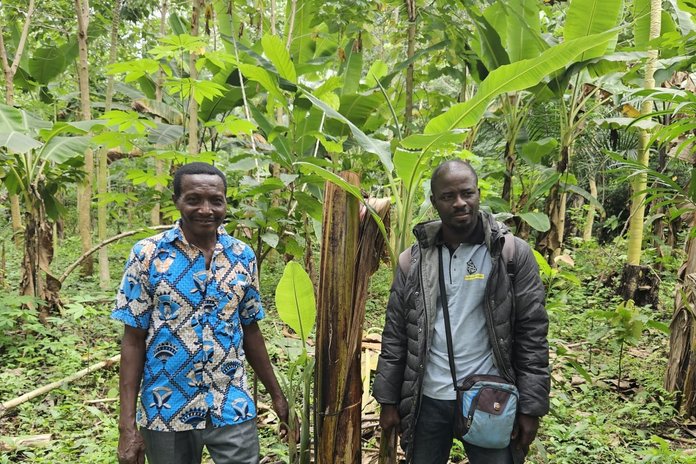 Field Agent Eyram Kpomedzi (rechts) und Kakaobauer Patrice Edoh auf seiner Parzelle mit dynamischer Agroforstwirtschaft