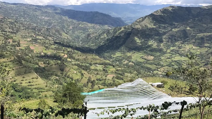 Anbauregion Passionsfrüchte